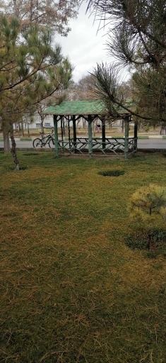 عکس بوستان آزادگان