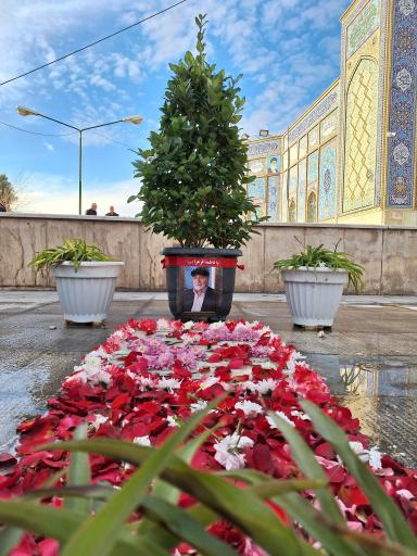 عکس مزار شادروان سید آقا پرورش