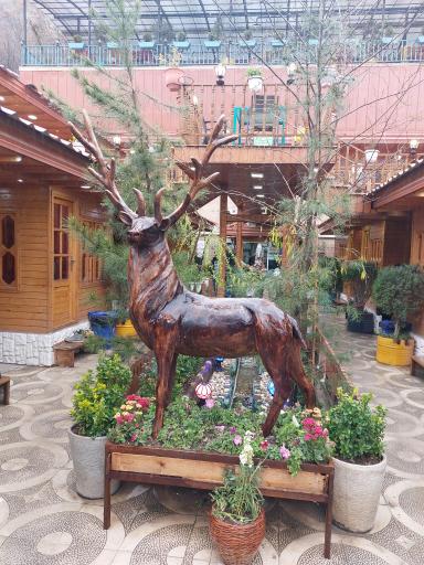 عکس کافه سنتی سرخ چشمه