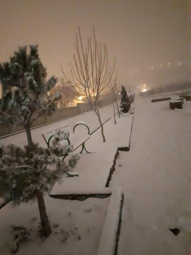 عکس پارک موکریان