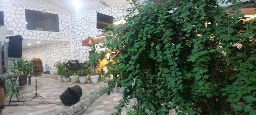 عکس سفره خانه کلبه سبز