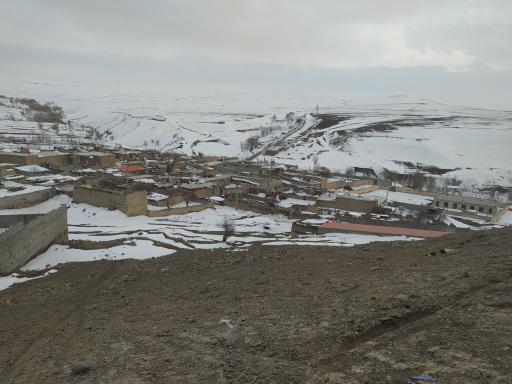 عکس قوزولو / قوزلو