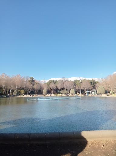 عکس حوضچه پارک لاله