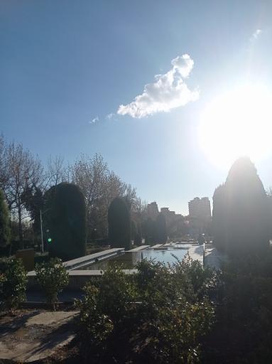 عکس حوضچه پارک لاله