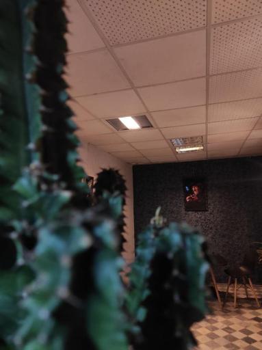 عکس کافه گری