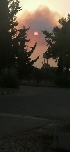 عکس اردوگاه آموزشی سرلشکر شهید حسن آبشناس ارتش