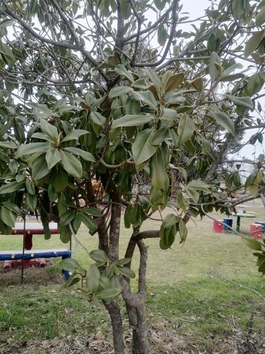 عکس اردوگاه آموزشی سرلشکر شهید حسن آبشناس ارتش