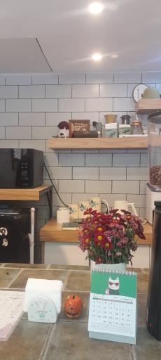 عکس کاوه میزان