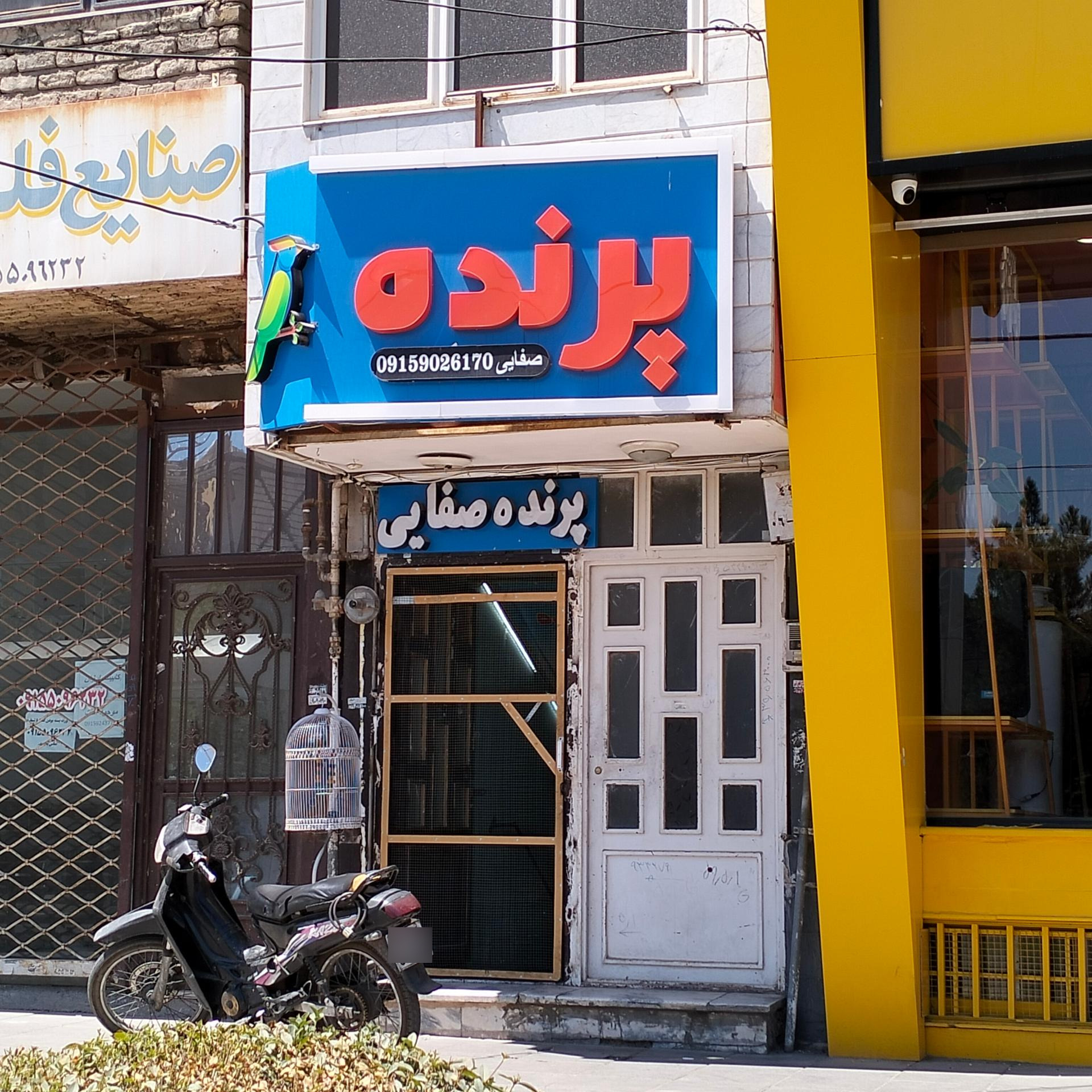 عکس پرنده صفائی