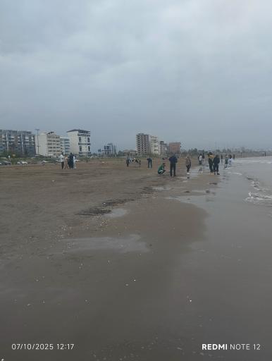 عکس ساحل نور