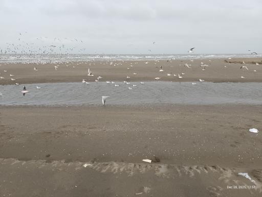 عکس ساحل نور