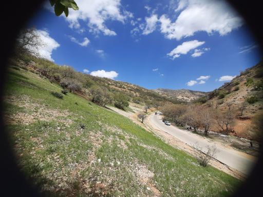بوستان جنگلی کوهستان یاسوج