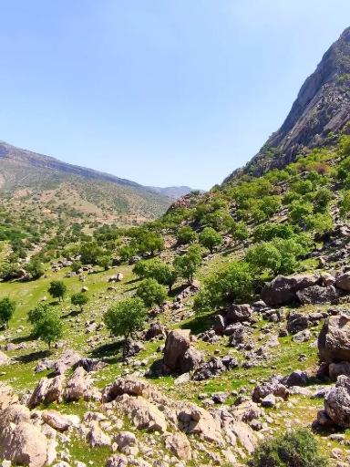 عکس نورآباد ممسنی