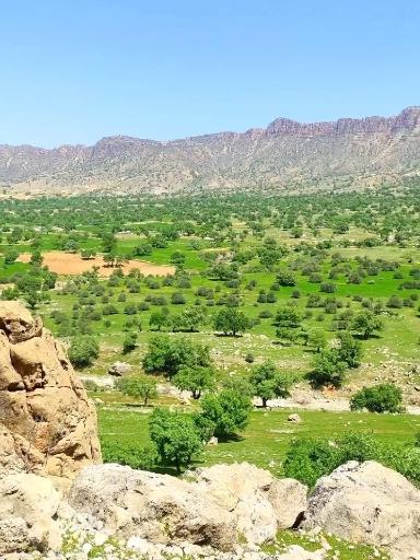 عکس نورآباد