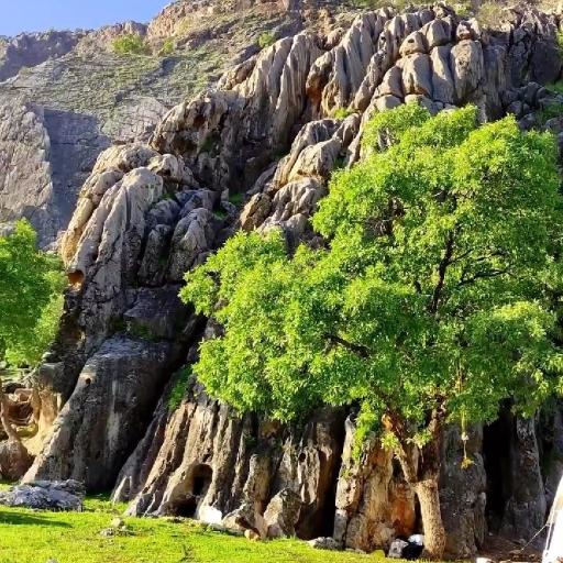 عکس نورآباد ممسنی