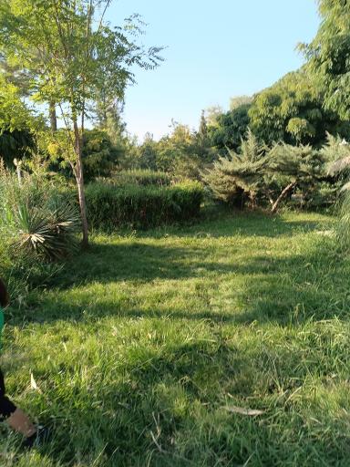 عکس پارک الغدیر