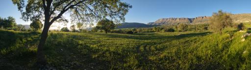 عکس نورآباد