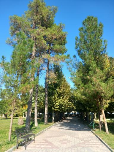 عکس نورآباد