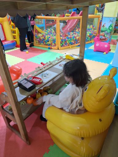 عکس خانه بازی بچه جون 