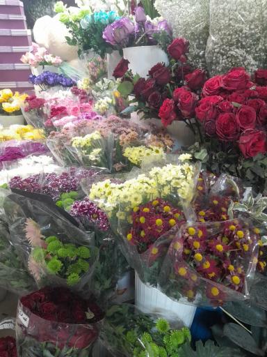 عکس گلفروشی آنلاین Red Rose