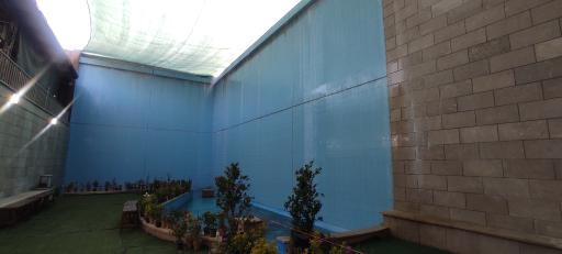 عکس جوی آب رختشوی خانه سعدی