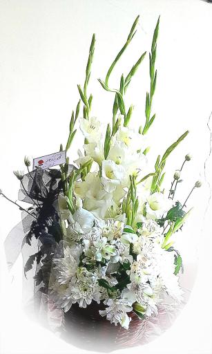 عکس گلفروشی آنلاین Red Rose