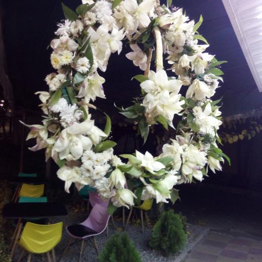 عکس گلفروشی آنلاین Red Rose