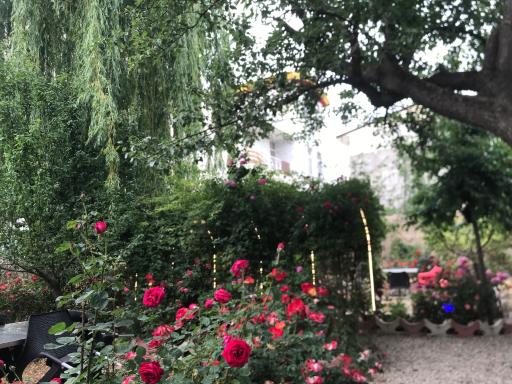 عکس کافه رستوران ددینو