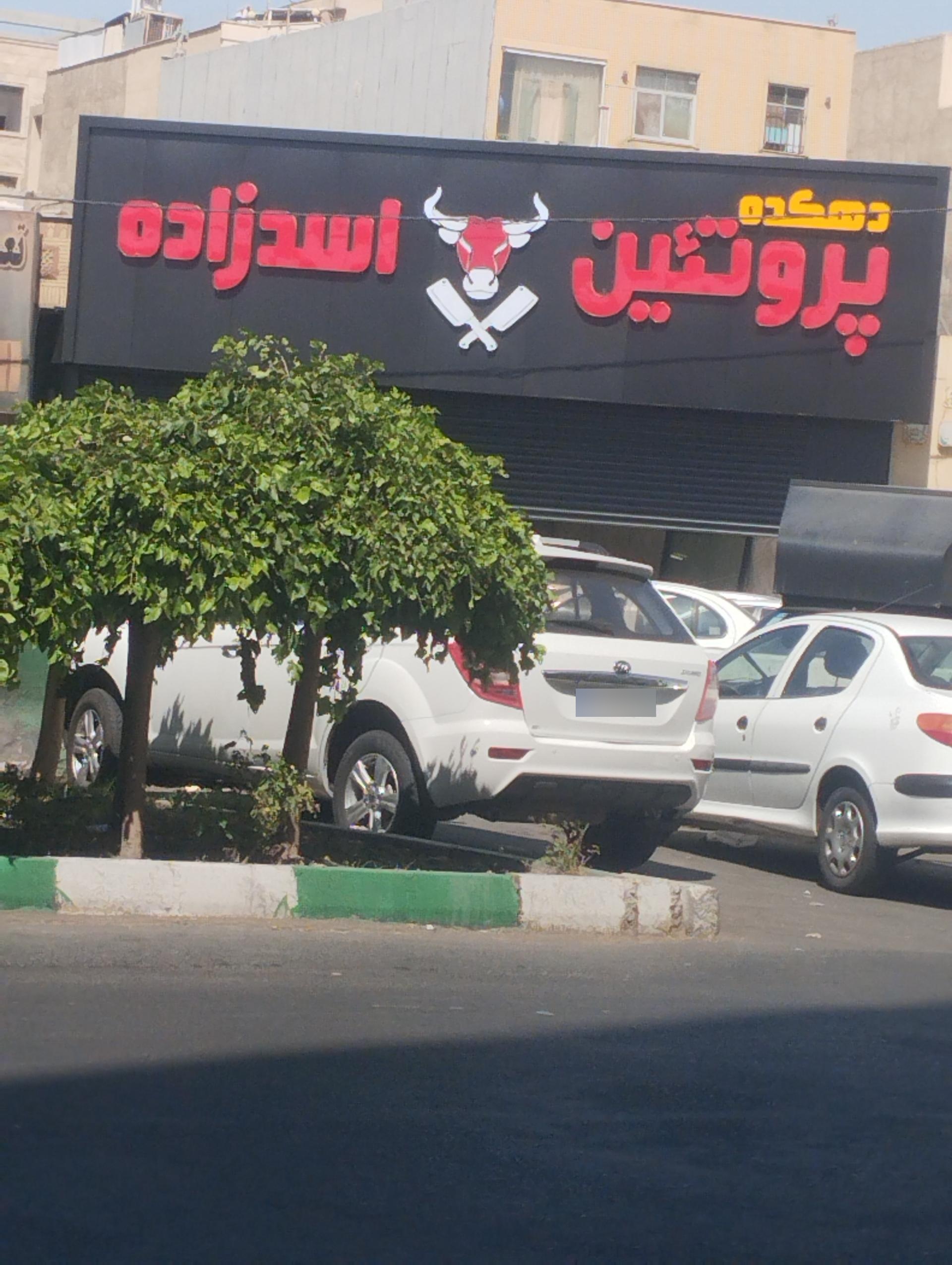 عکس پروتئینی اسدزاده