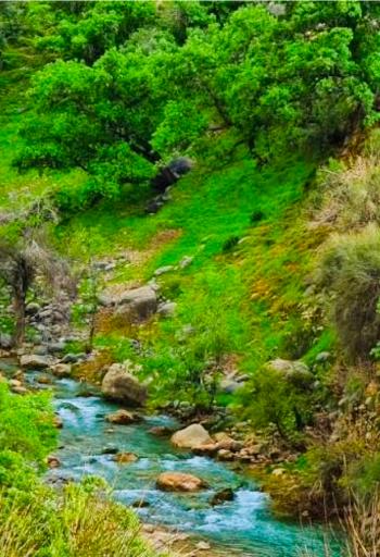 عکس نورآباد ممسنی