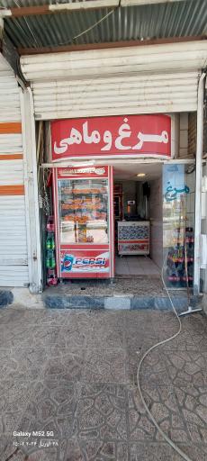 عکس مرغ و ماهی حسین