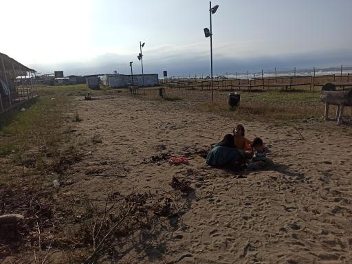 عکس طرح دریای شهرداری بندرانزلی