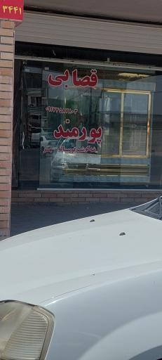 عکس قصابی پورمند