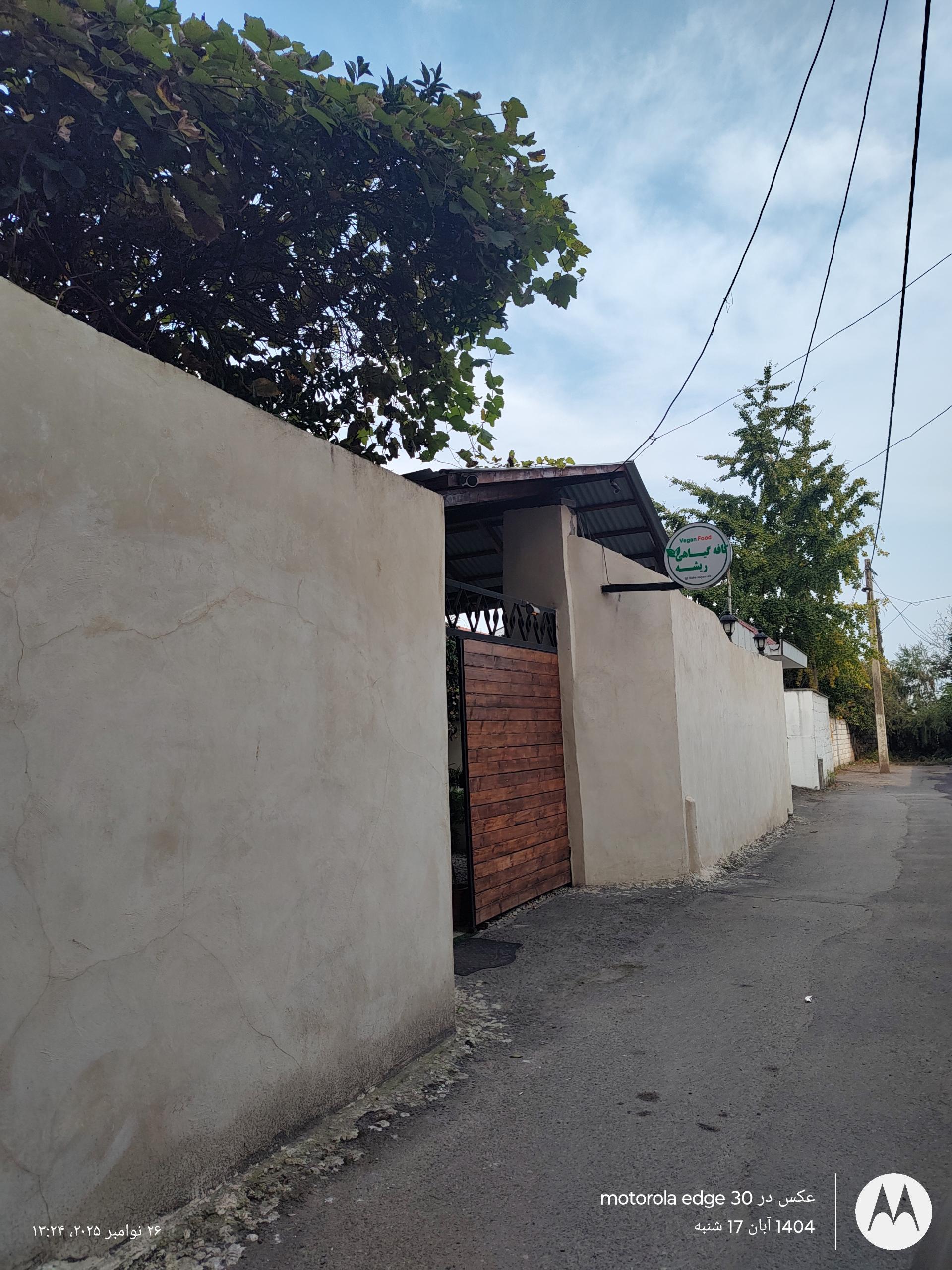 عکس کافه گیاهی وگان ریشه