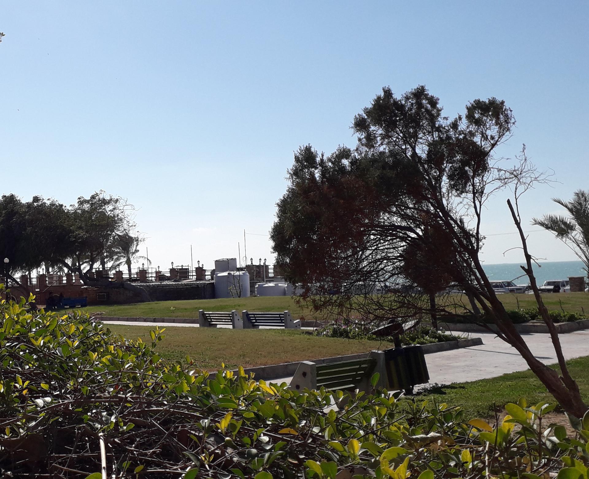 عکس بوستان قوام