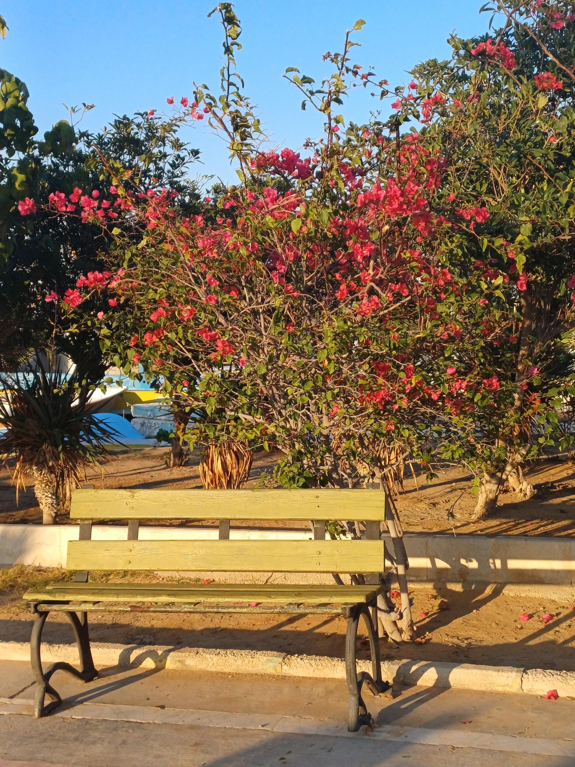 عکس بوستان قوام