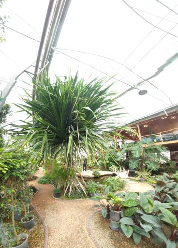 عکس نمایشگاه گل و گیاه ولیعصر