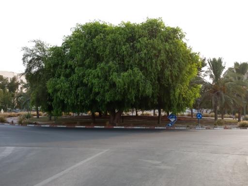 عکس میدان بهارستان 