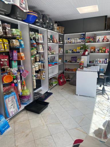 عکس پت شاپ پانیک