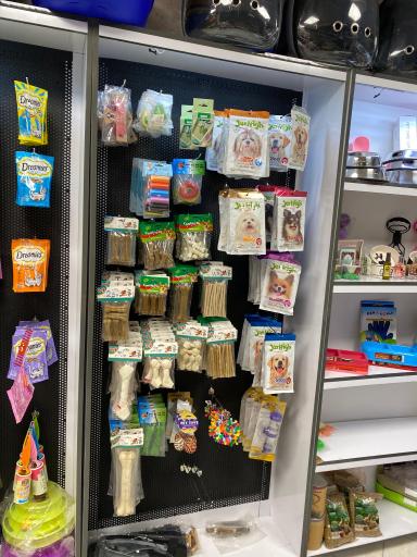 عکس پت شاپ پانیک