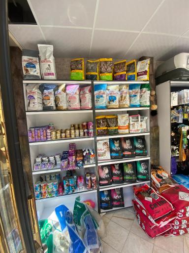 عکس پت شاپ پانیک