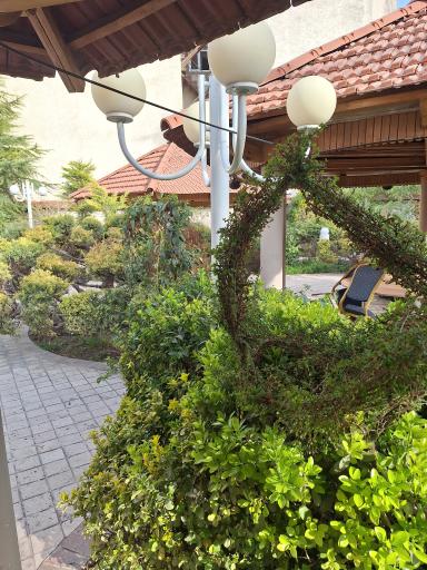 عکس هتل سلام