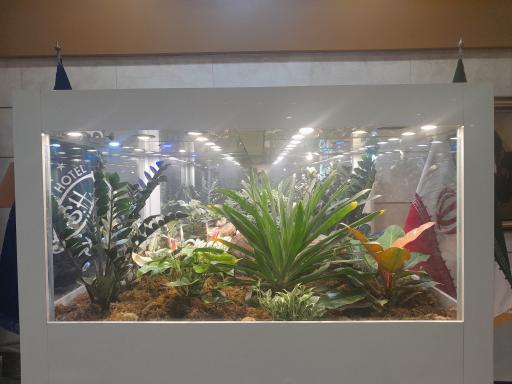 عکس هتل سلام