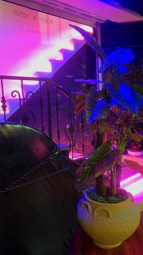 عکس استدیو ورزشی جلوه