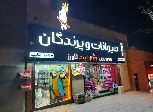 عکس پت شاپ  پت لاورز
