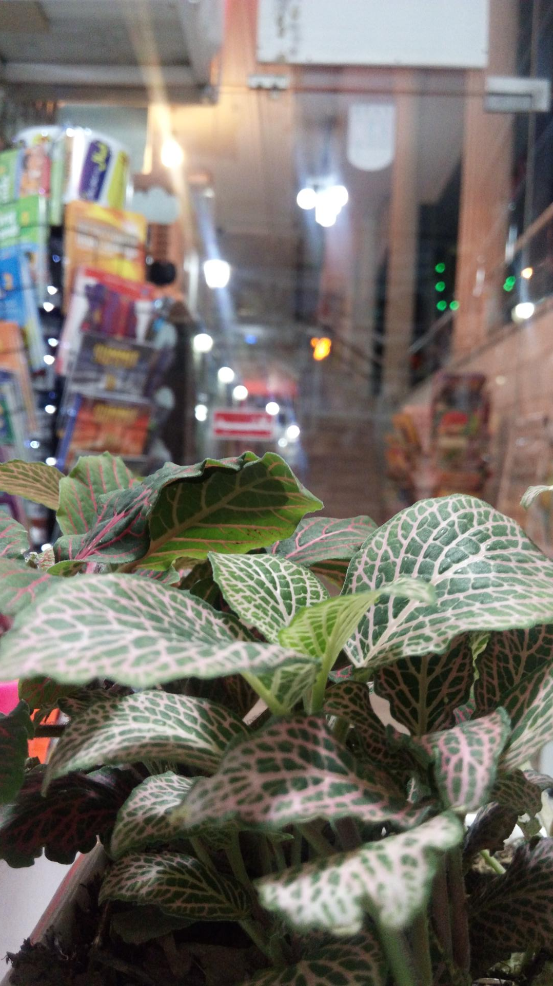 عکس مرکز فرهنگی و فروشگاه کتاب البرز