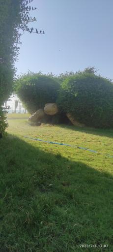 عکس بوستان قوام