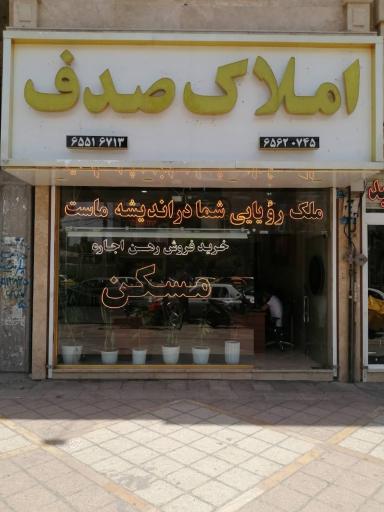 مسکن صدف