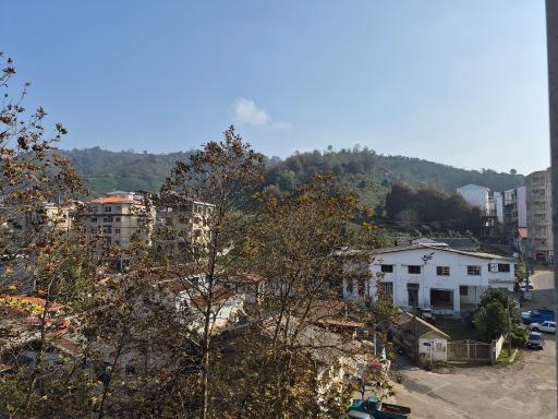 عکس کارخانه چای گلچای