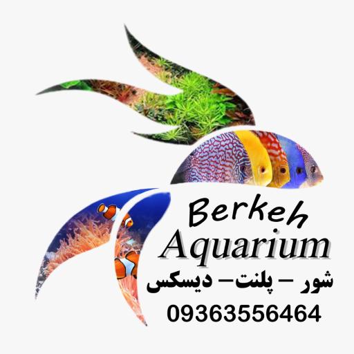 عکس آکواریوم برکه کرج